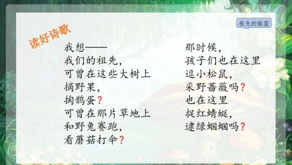 23祖先的摇篮 课件