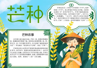 芒种节气word小报