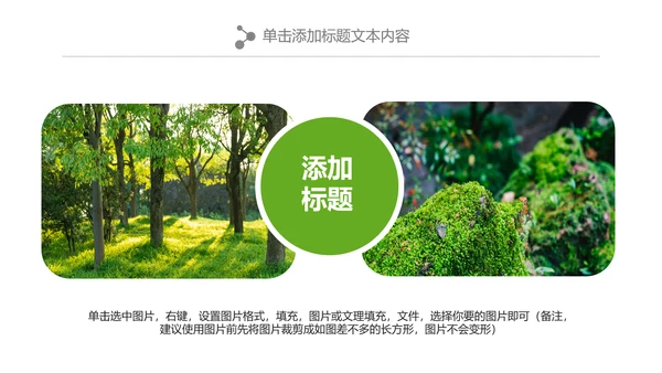 绿色森林植树造林林业木材园林绿化PPT