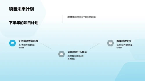 精准农业项目解析