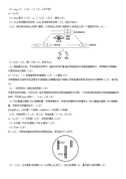 2022北京西城高三一模生物（教师版）