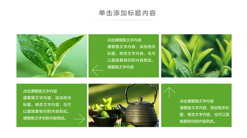 茶具茶叶绿茶白茶红茶黑茶茶文化茶厂PPT