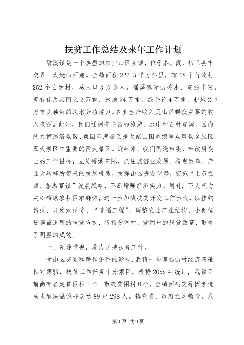 扶贫工作总结及来年工作计划.docx