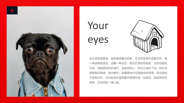 丑萌的小狗狗宠物通用PPT模板