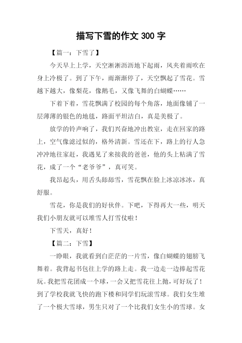 描写下雪的作文300字.docx