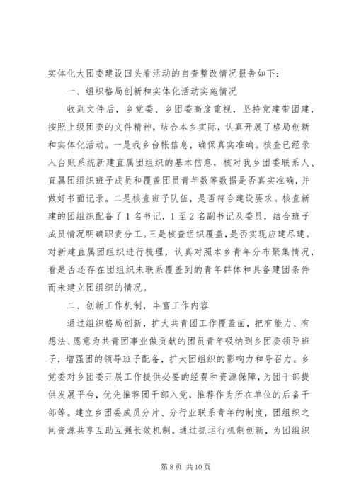 乡镇大团委建设自查报告某年.docx