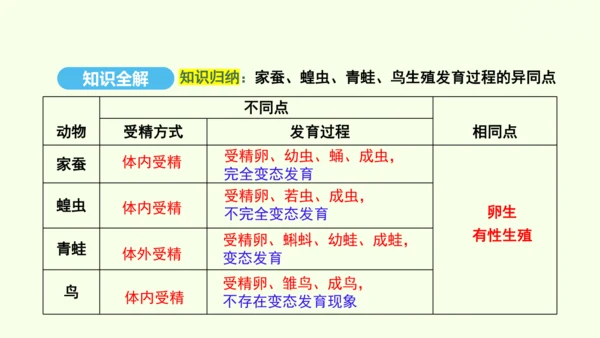 7.1.4鸟的生殖和发育课件-人教版生物八年级下册(共28张PPT)