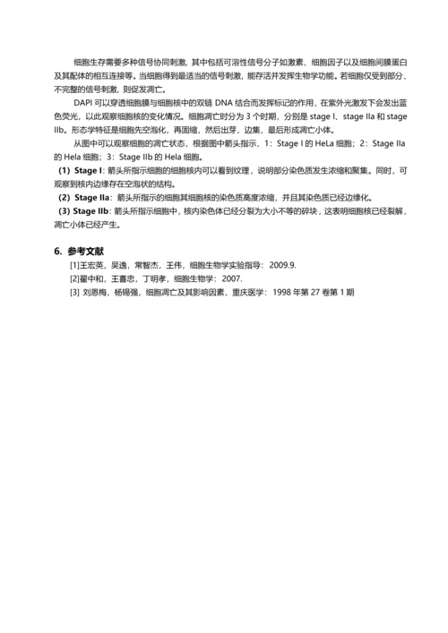 细胞凋亡诱导及检测伍国羽.docx