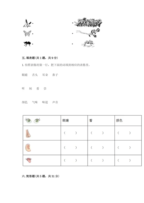 教科版小学科学一年级下册期末测试卷【有一套】.docx