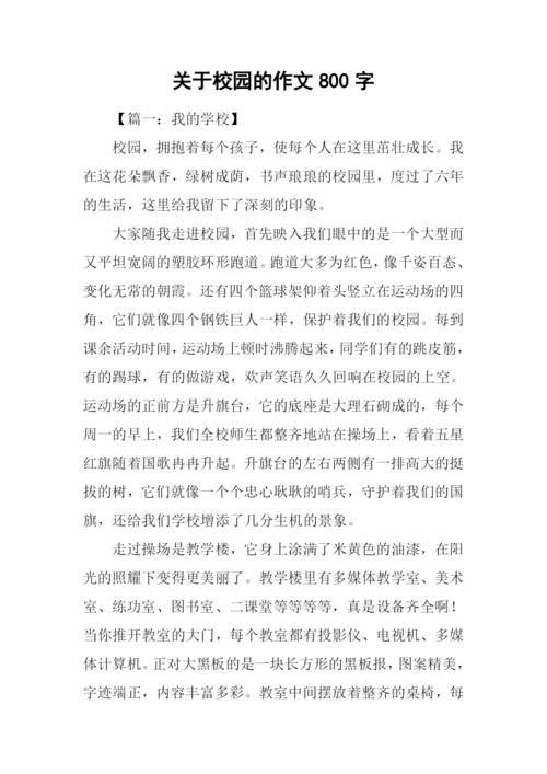 关于校园的作文800字.docx