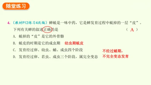 7.1.2昆虫的生殖和发育-八年级生物人教版下学期同步精品课件(共29张PPT)