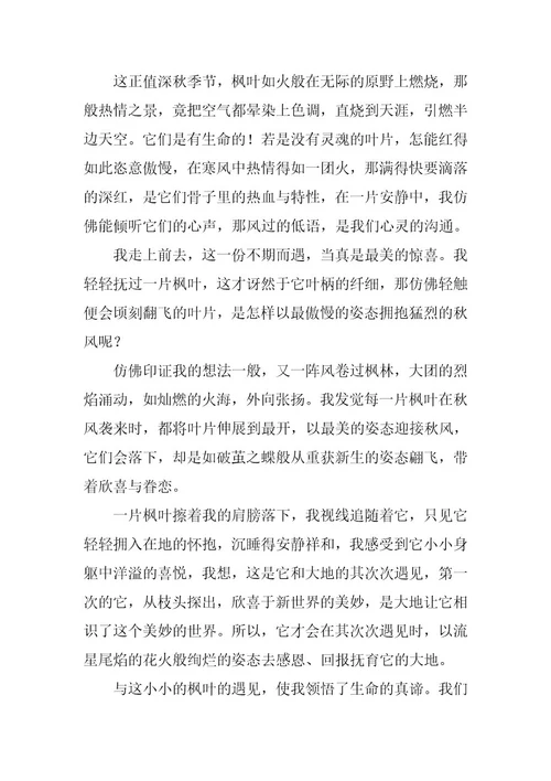 2024年遇见初三优秀作文
