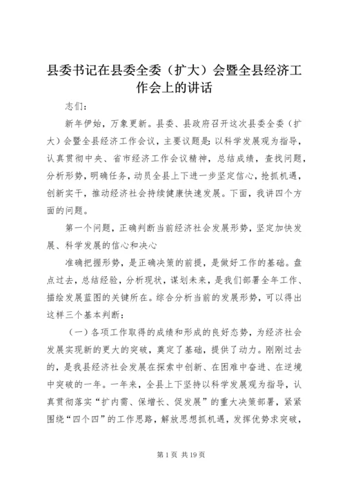 县委书记在县委全委（扩大）会暨全县经济工作会上的讲话.docx