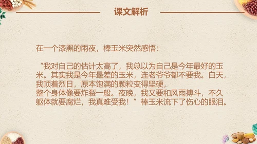 最棒的玉米小学四年级语文课文PPT课件