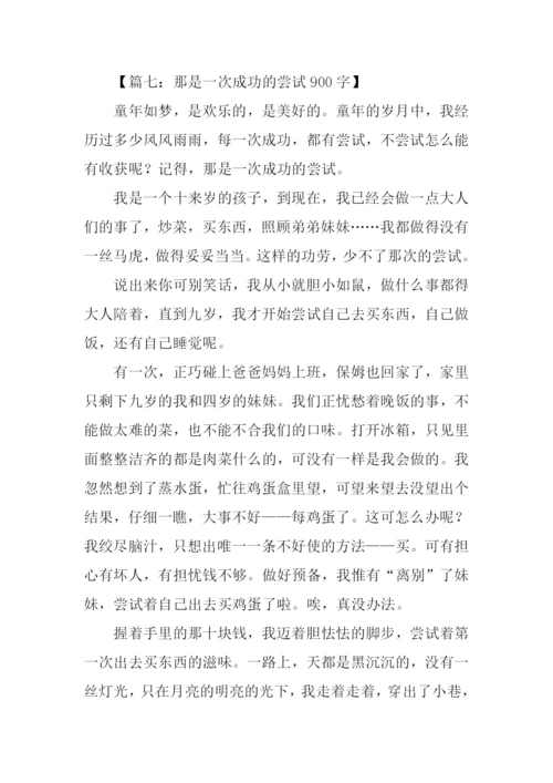 一次的尝试作文-1.docx