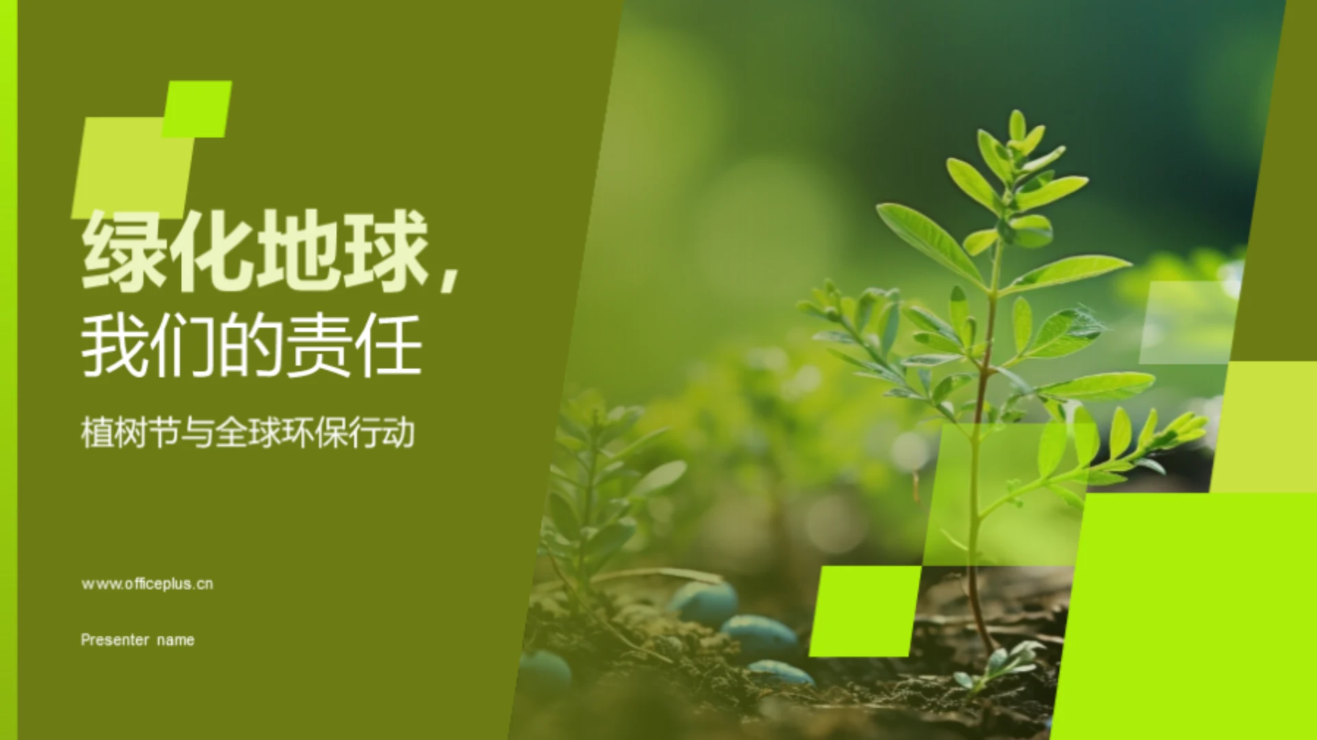 绿化地球,我们的责任