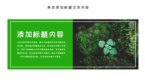 唯美绿色植物发芽植物生长敬畏生命PPT模板