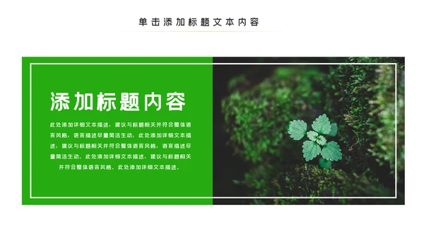 唯美绿色植物发芽植物生长敬畏生命PPT模板