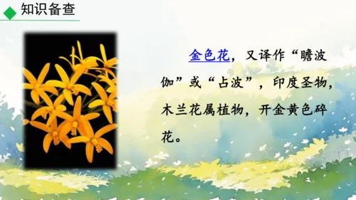 7 散文诗二首 金色花 课件