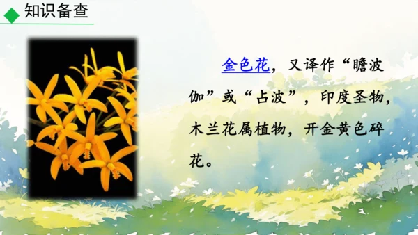 7 散文诗二首 金色花 课件
