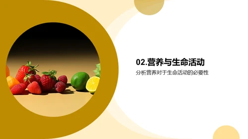 营养知识与健康选择