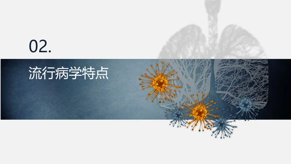 传染性肺部感染病毒防控PPT模板