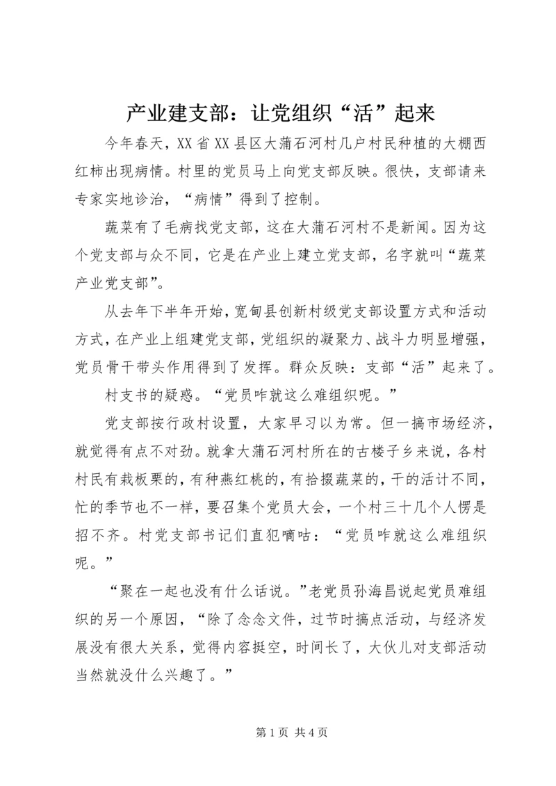 产业建支部：让党组织“活”起来.docx