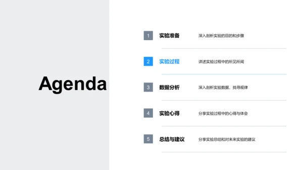 科学实验作业报告PPT模板