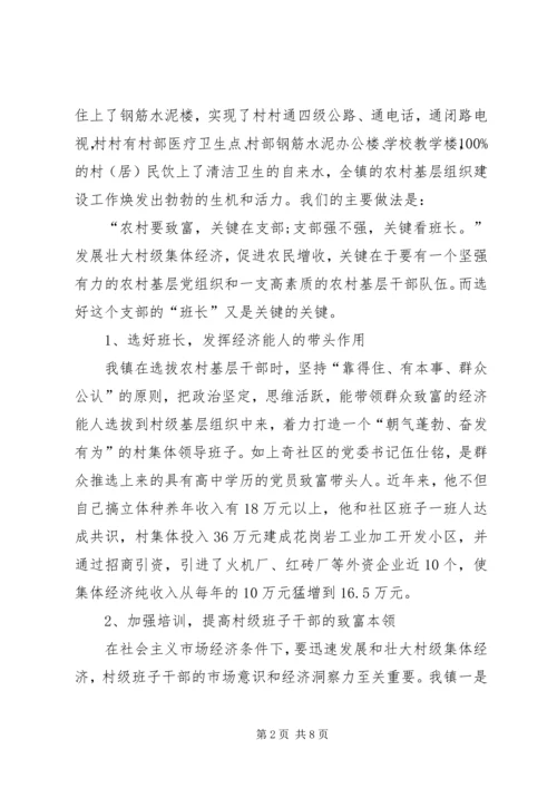 发展壮大村级集体经济工作报告 (2).docx
