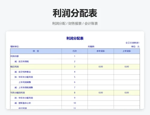 主营业务收支明细表
