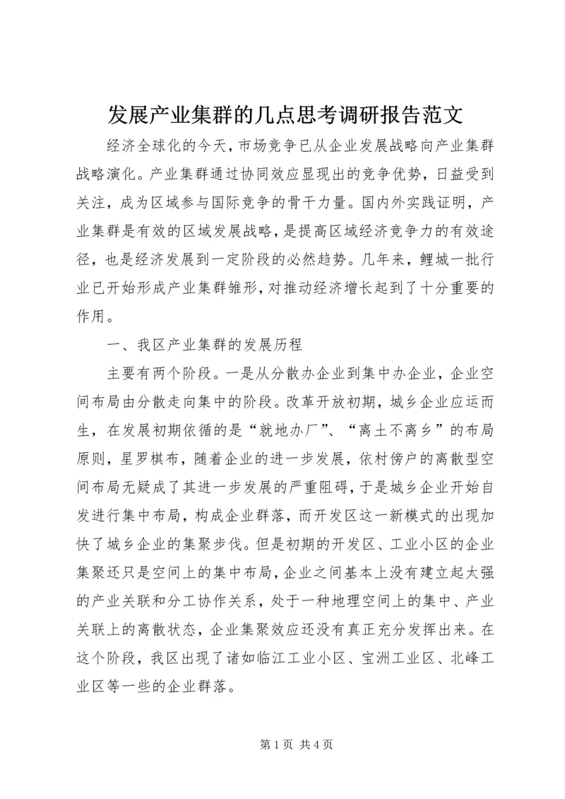 发展产业集群的几点思考调研报告范文.docx