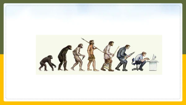 人类的起源和进化生物课通用PPT课件