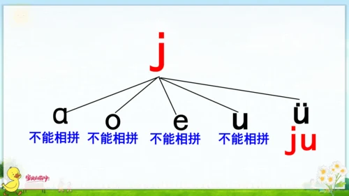 汉语拼音6  j q x 课件