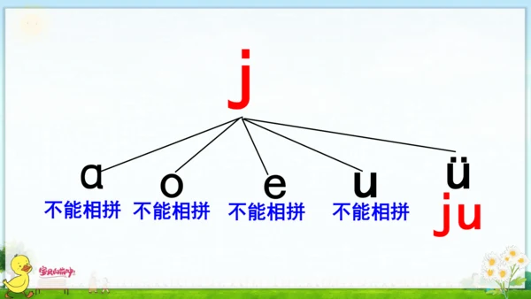 汉语拼音6  j q x 课件