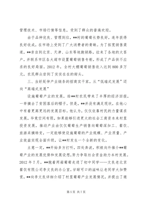 村党支部书记个人事迹材料 (4).docx