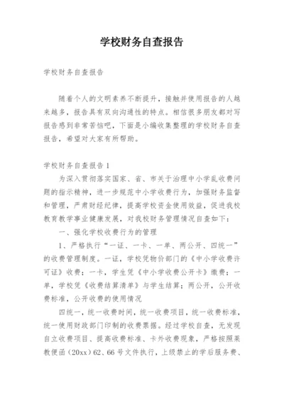 学校财务自查报告.docx