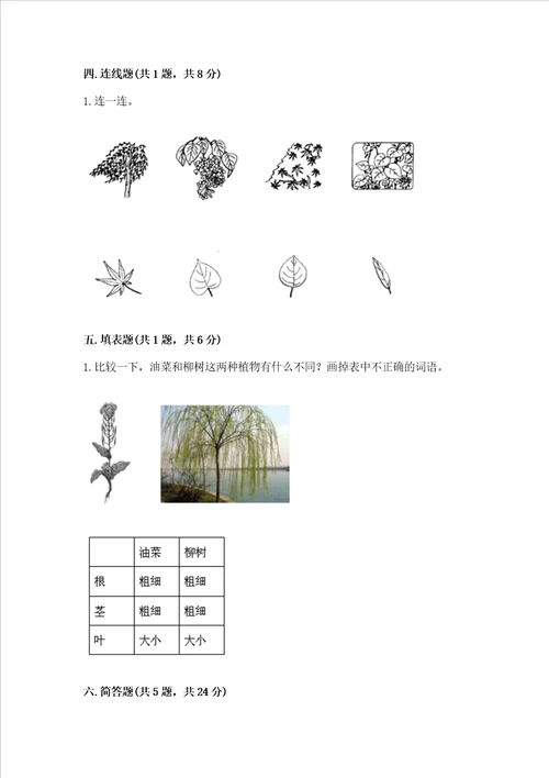 教科版科学一年级上册期末测试卷及参考答案新