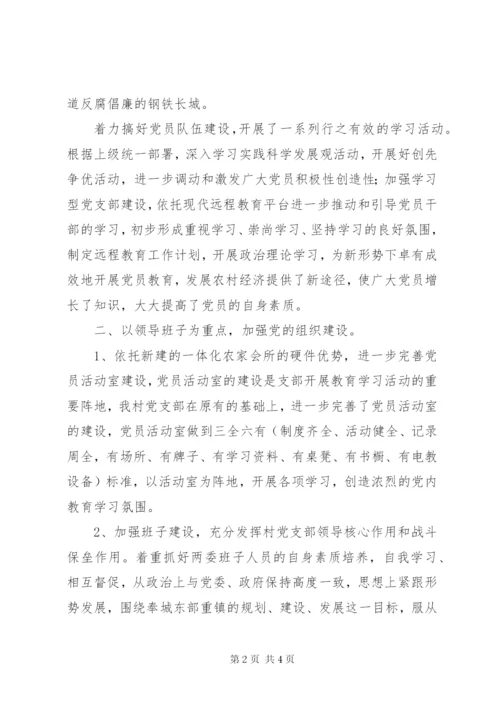 村党支部换届三年工作总结 (2).docx