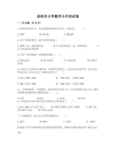 洛阳市小学数学小升初试卷（考点精练）.docx