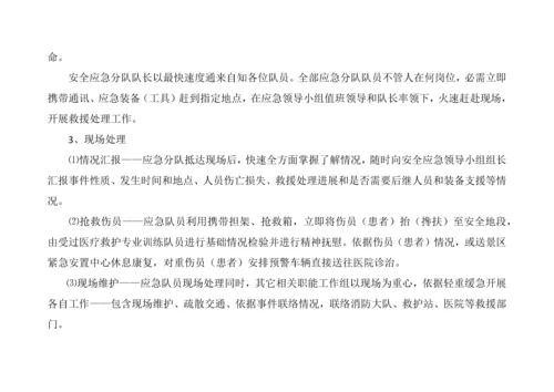 天地石刻园景区安全管理应急专题预案.docx