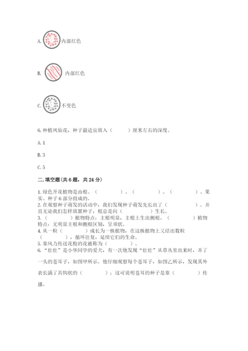 教科版科学四年级下册第一单元《植物的生长变化》测试卷【轻巧夺冠】.docx