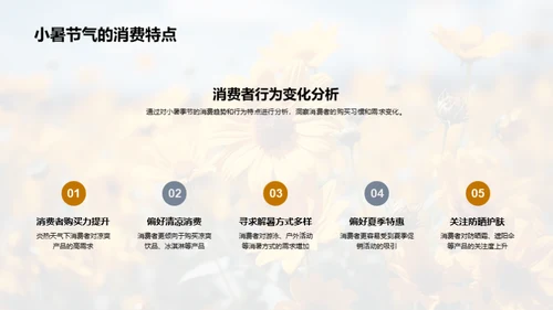 小暑营销策略解析