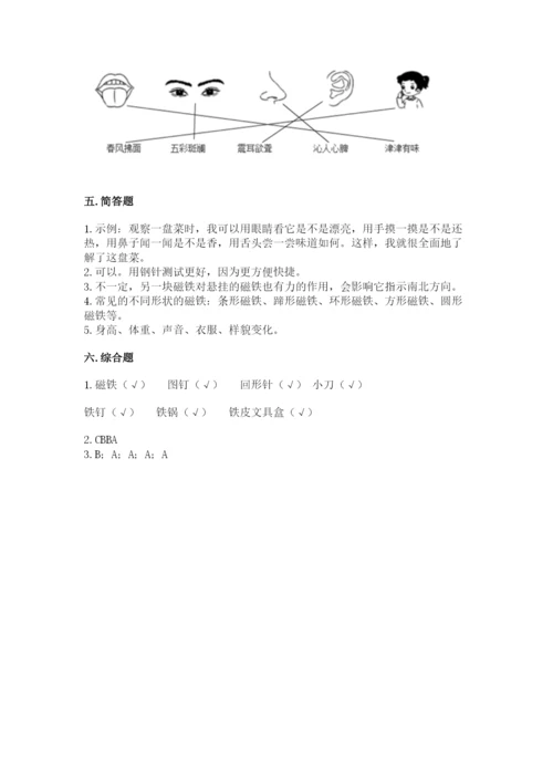 教科版小学科学二年级下册 期末测试卷（实用）.docx
