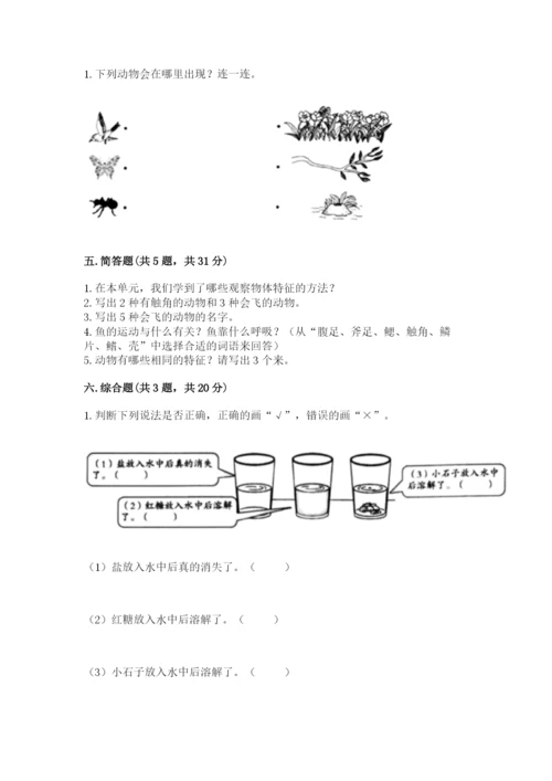 教科版一年级下册科学期末测试卷含答案（巩固）.docx