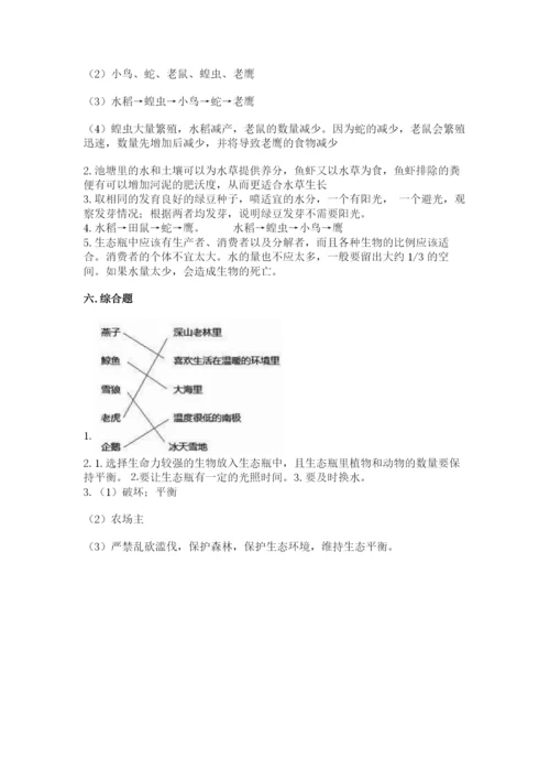 教科版五年级下册科学第一单元《生物与环境》测试卷（完整版）.docx