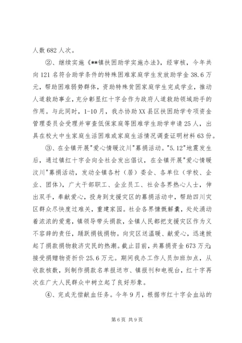 乡镇社会事务办工作总结.docx