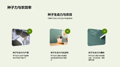 种子生命力研究