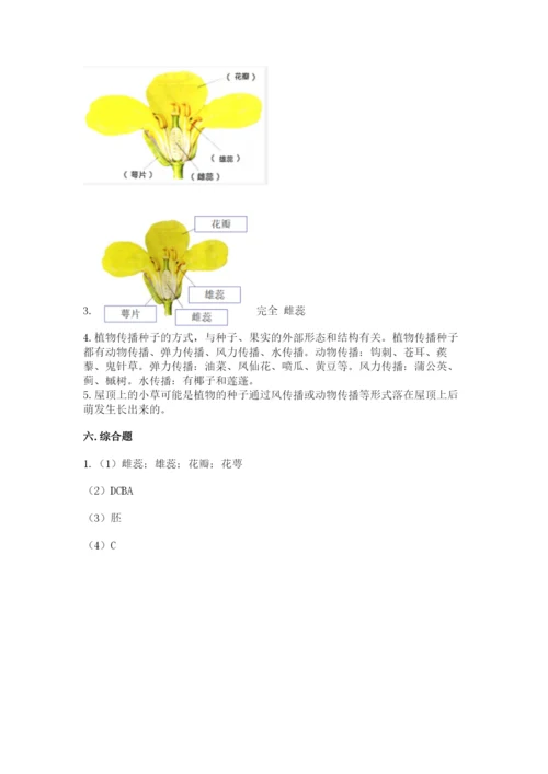 科学四年级下册第一单元《植物的生长变化》测试卷完整.docx