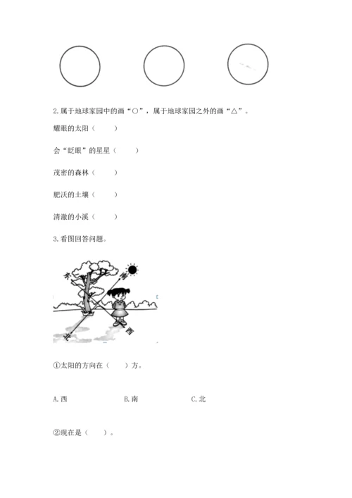 教科版二年级上册科学期末测试卷带答案（精练）.docx