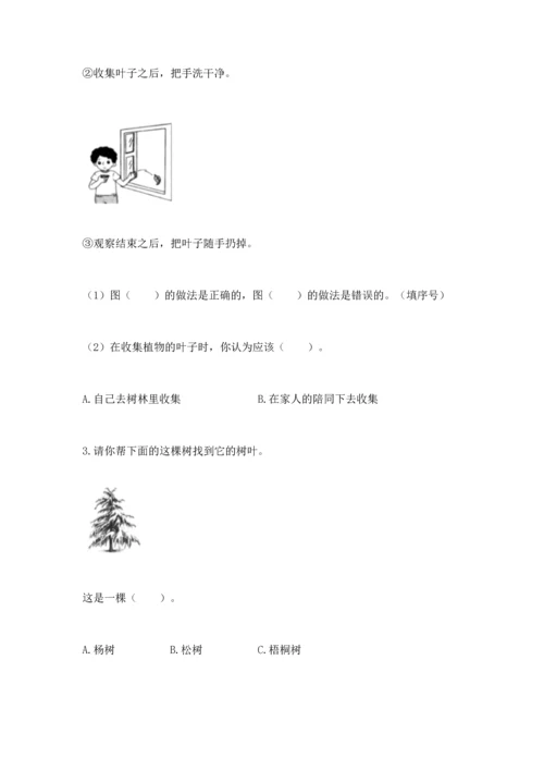 教科版科学一年级上册第一单元《植物》测试卷附参考答案（考试直接用）.docx